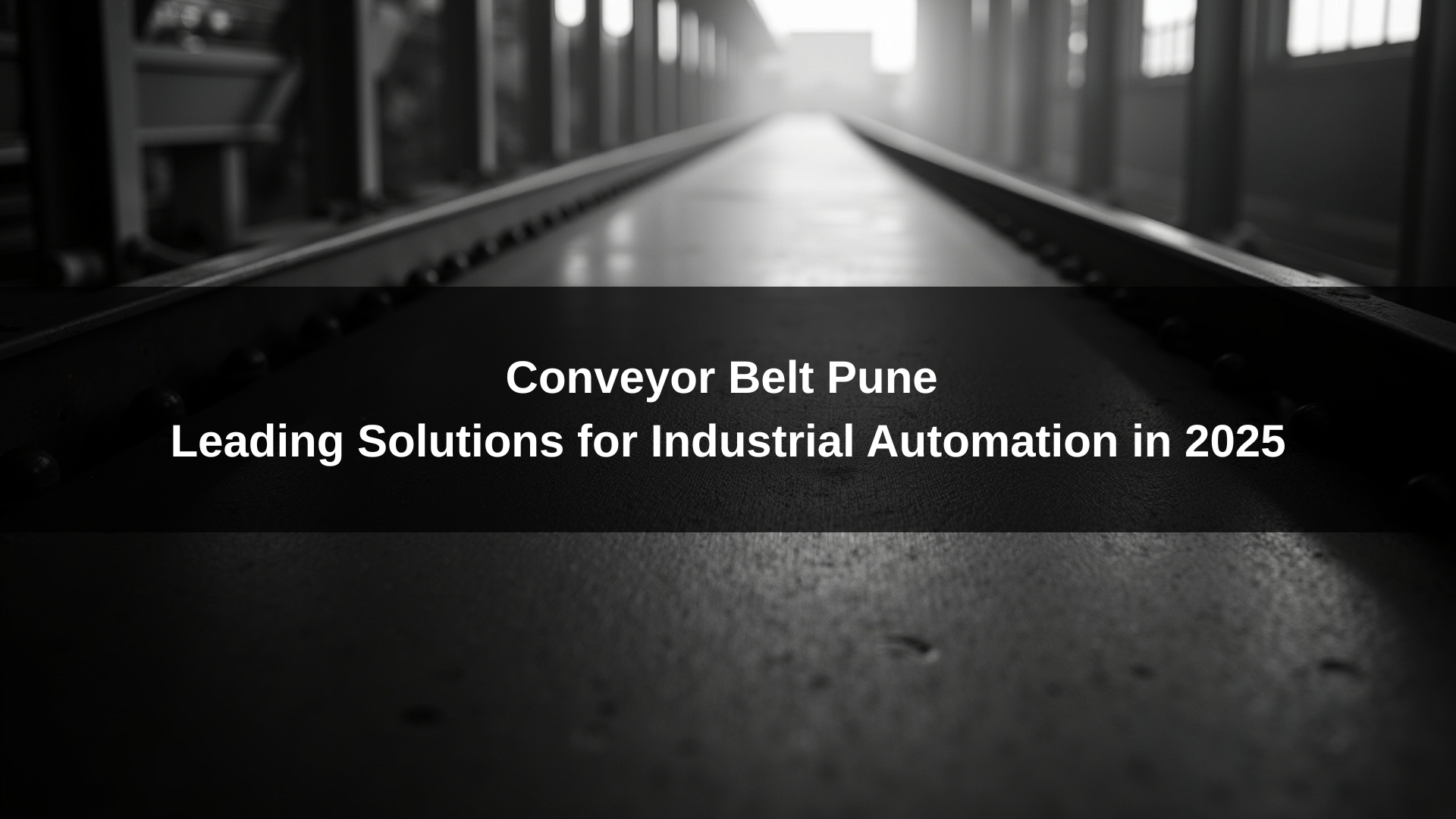 Conveyor Belt Pune